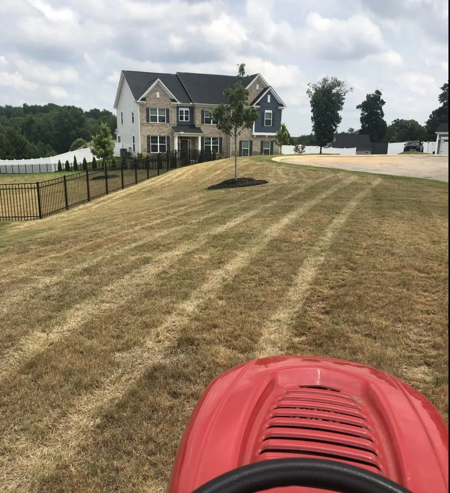 Top-rated yard cleanup service for homes in Greenville, SC by Pro Kutz Lawn Care & Landscaping Services