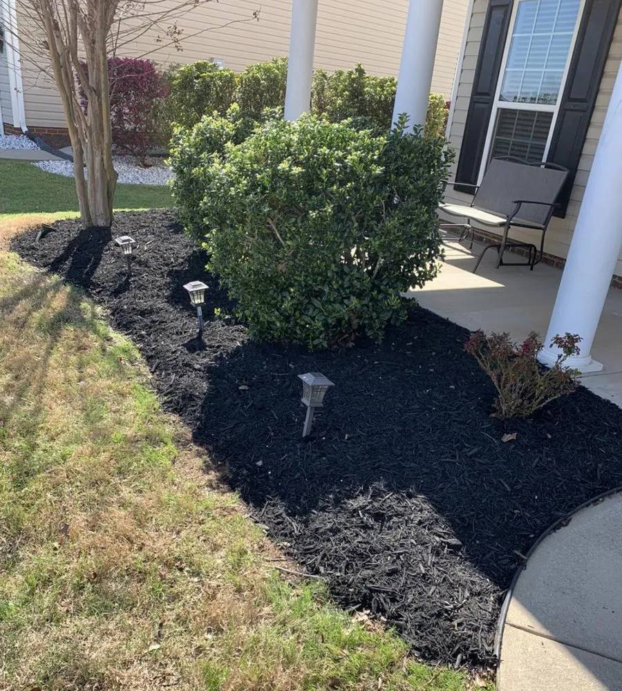 Reliable yard maintenance experts serving Greenville, SC - Pro Kutz Lawn Care & Landscaping Services