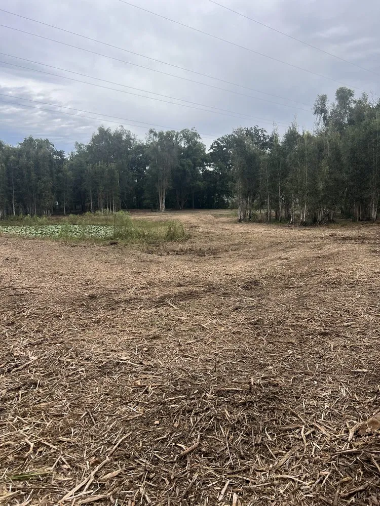 Professional lawn mowing service in Odessa, FL by PRO Land Services