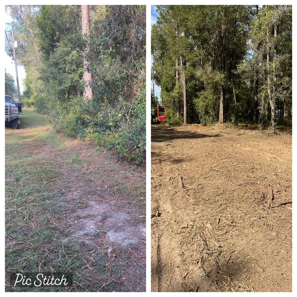 Local outdoor landscaping with custom design in Odessa, FL by PRO Land Services