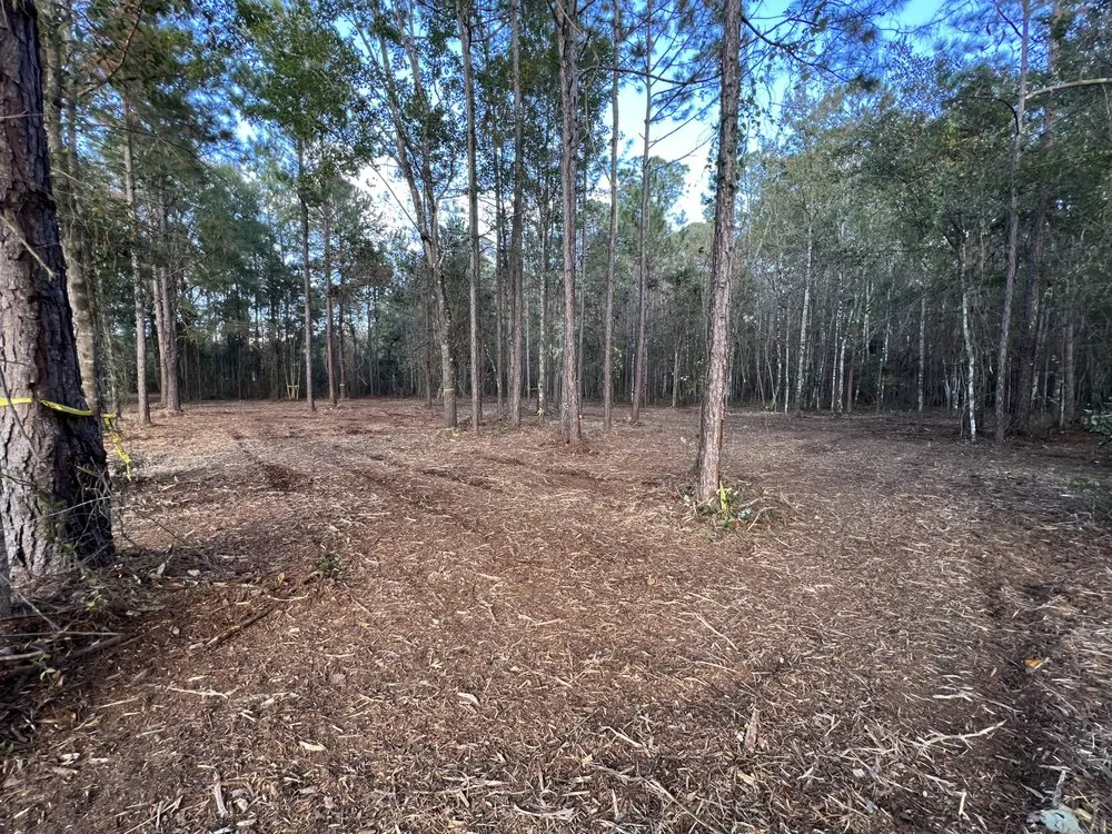 Top-rated landscape design in Odessa, FL - PRO Land Services