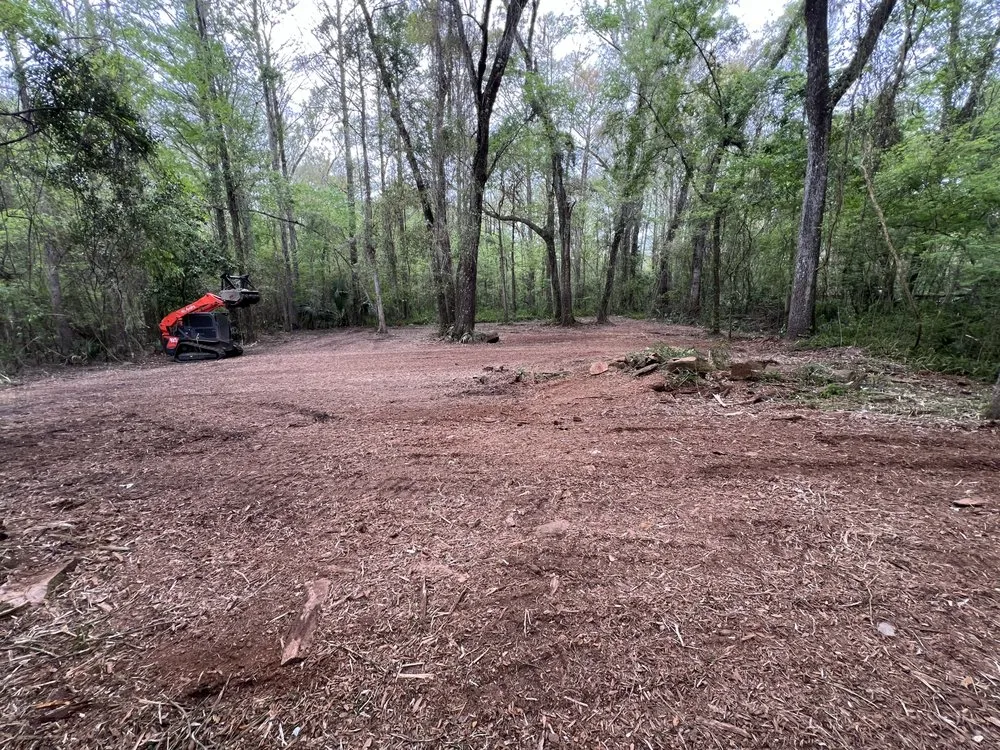 Expert lawn mowing service near you in Odessa, FL by PRO Land Services