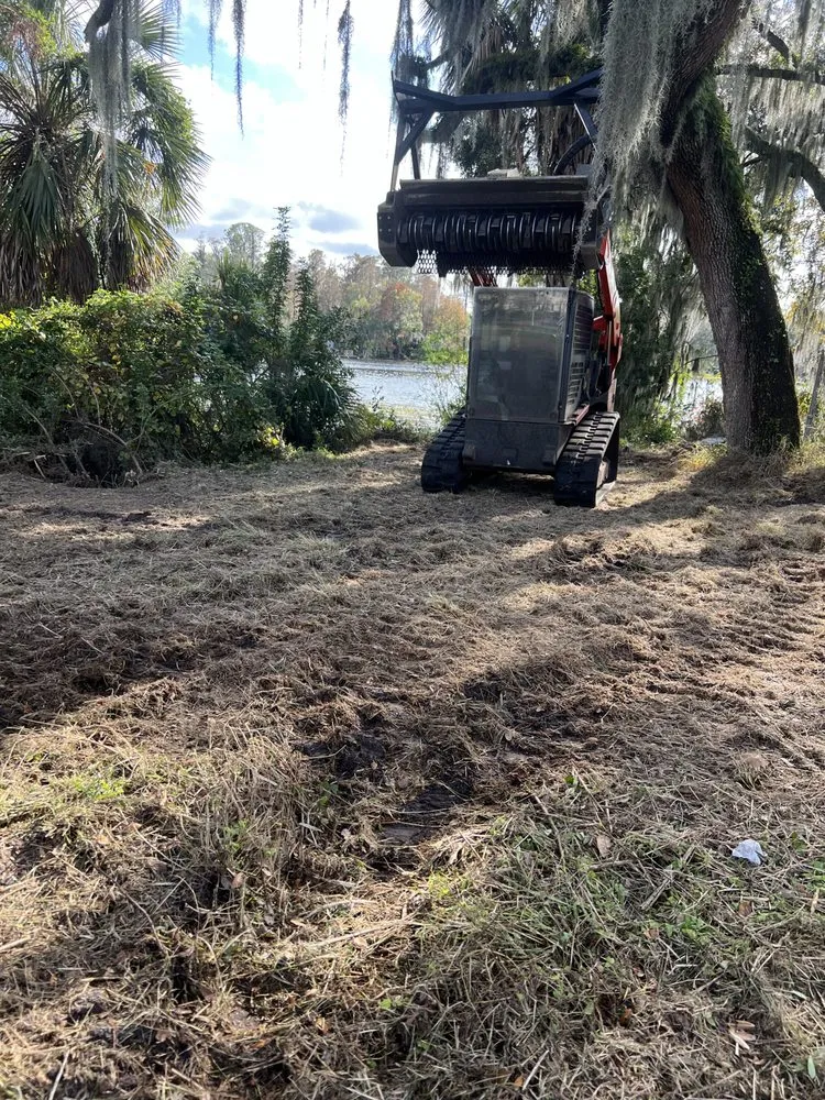 Local landscaping services near you across Odessa, FL - PRO Land Services