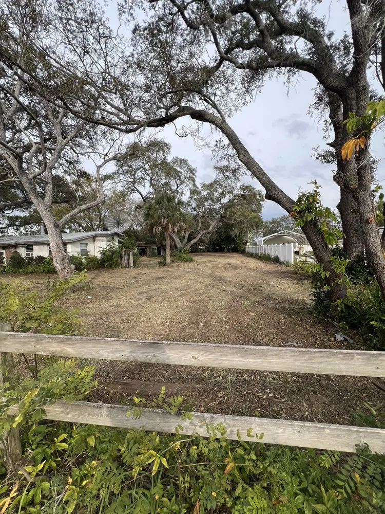 Professional landscape installation in Odessa, FL by PRO Land Services