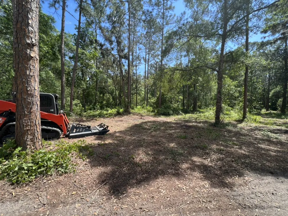 Reliable landscaping services in Odessa, FL by PRO Land Services