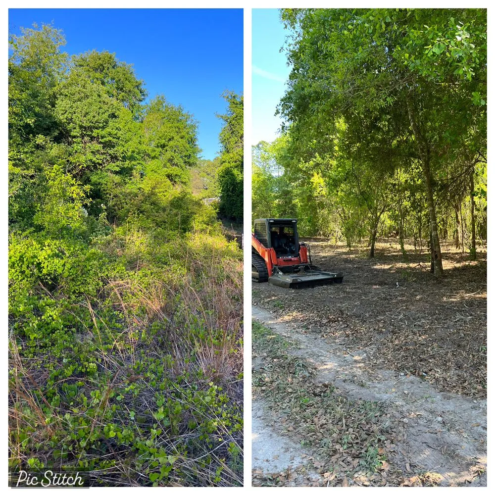 Expert lawn mowing service with custom design in Odessa, FL by PRO Land Services