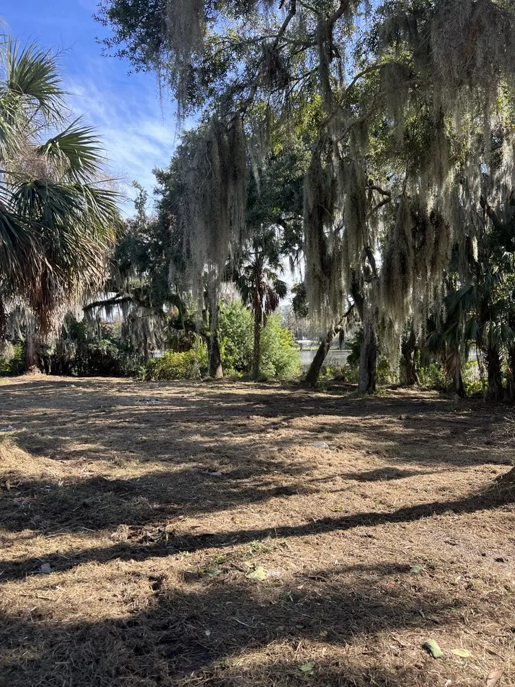 Reliable lawn mowing service in Odessa, FL - PRO Land Services