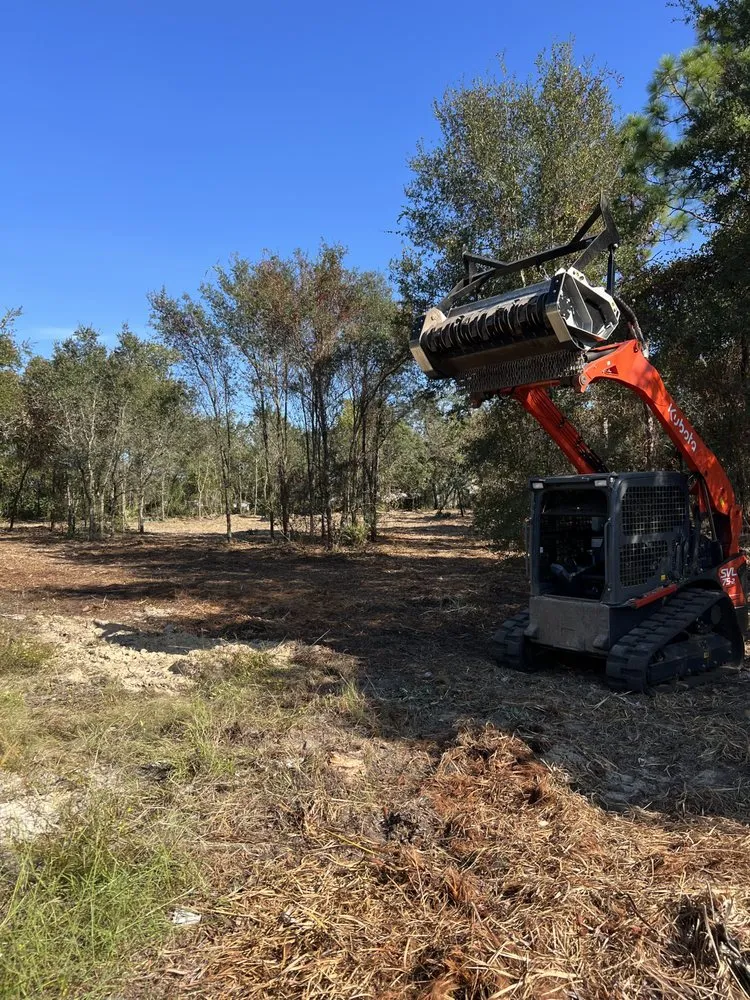 Reliable residential landscaping in Odessa, FL by PRO Land Services