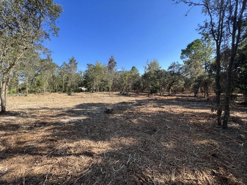 Reliable landscape design experts serving Odessa, FL - PRO Land Services