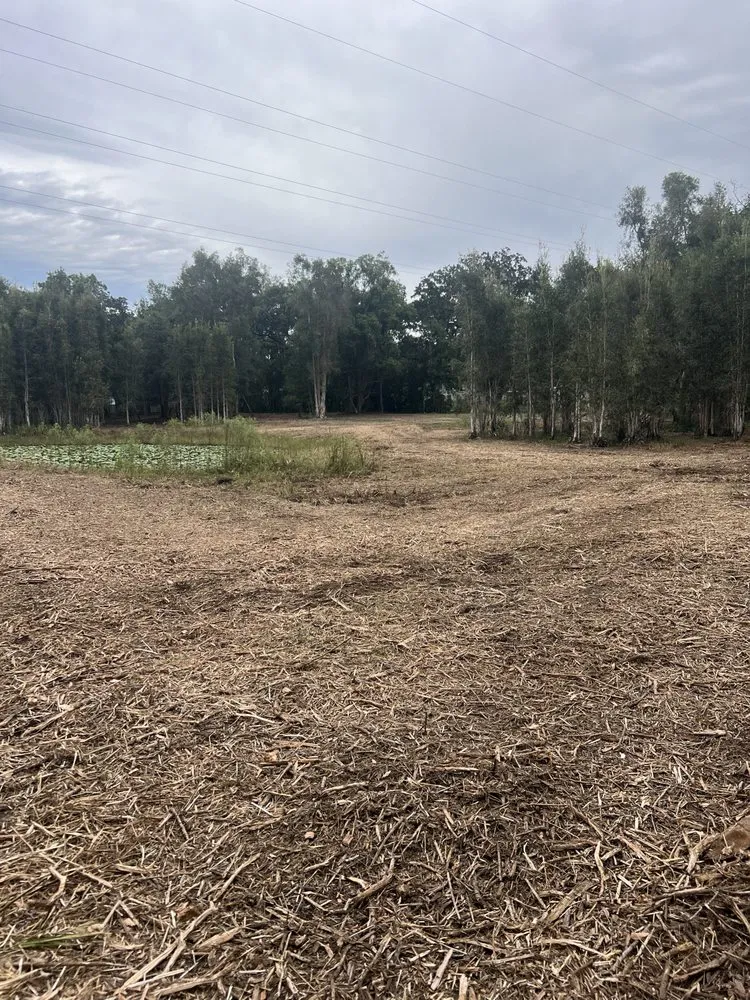 Top-rated garden landscaping for homes in Odessa, FL by PRO Land Services