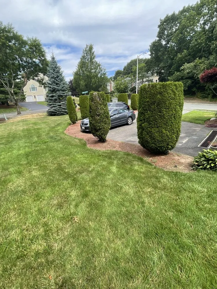 Expert yard cleanup service for outdoor upgrades across Beverly, MA - PRO Landscape & Services