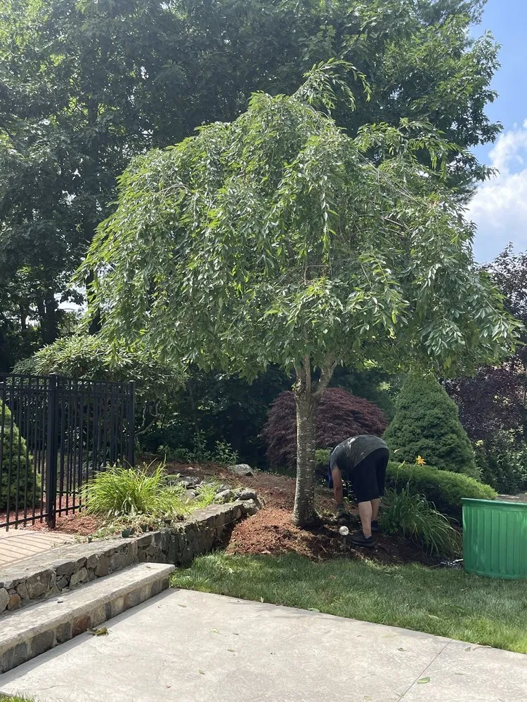 Expert lawn mowing service for residential properties in Beverly, MA by PRO Landscape & Services