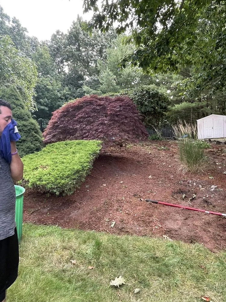 Reliable residential landscaping for homes across Beverly, MA - PRO Landscape & Services