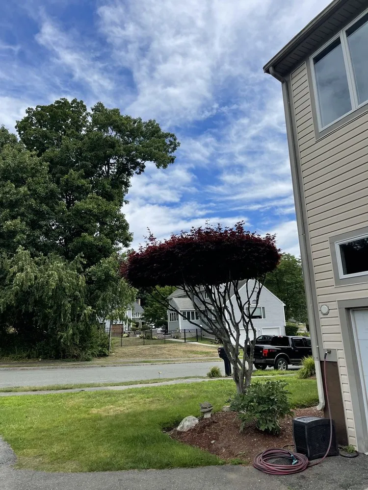 Expert lawn mowing service experts serving Beverly, MA - PRO Landscape & Services