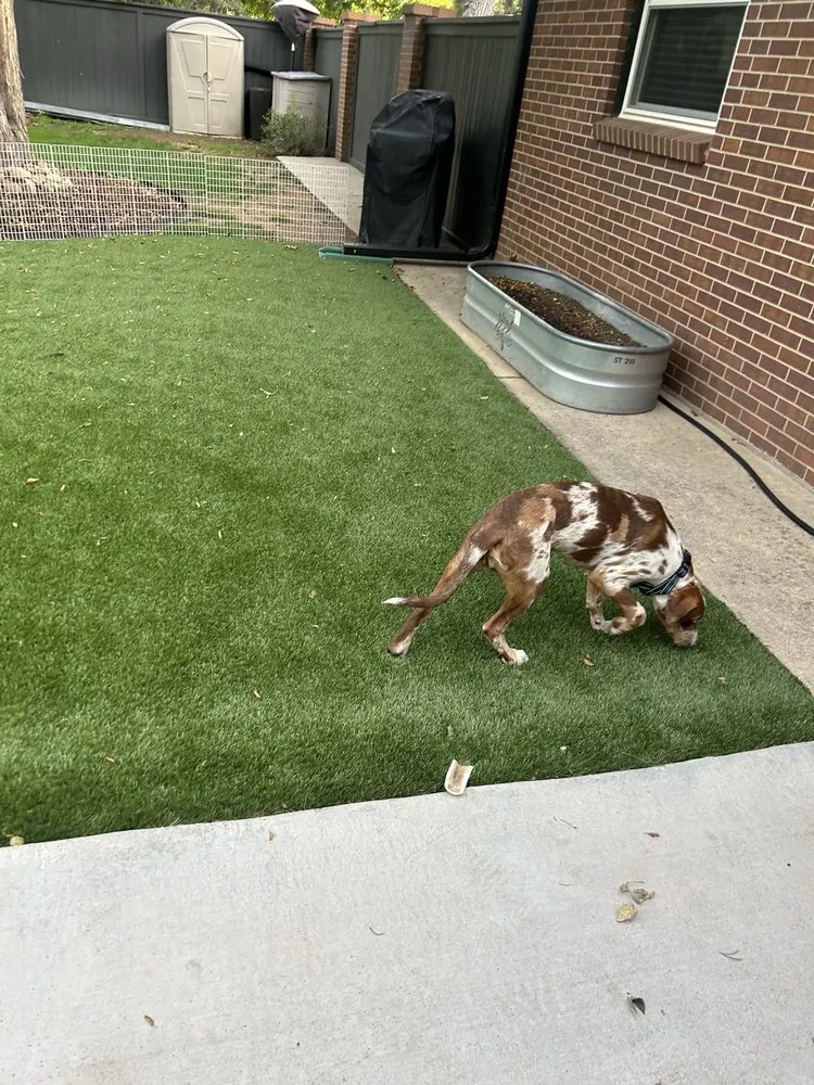 Professional lawn mowing service experts serving Colorado Springs, CO - Pro Landscape Concepts