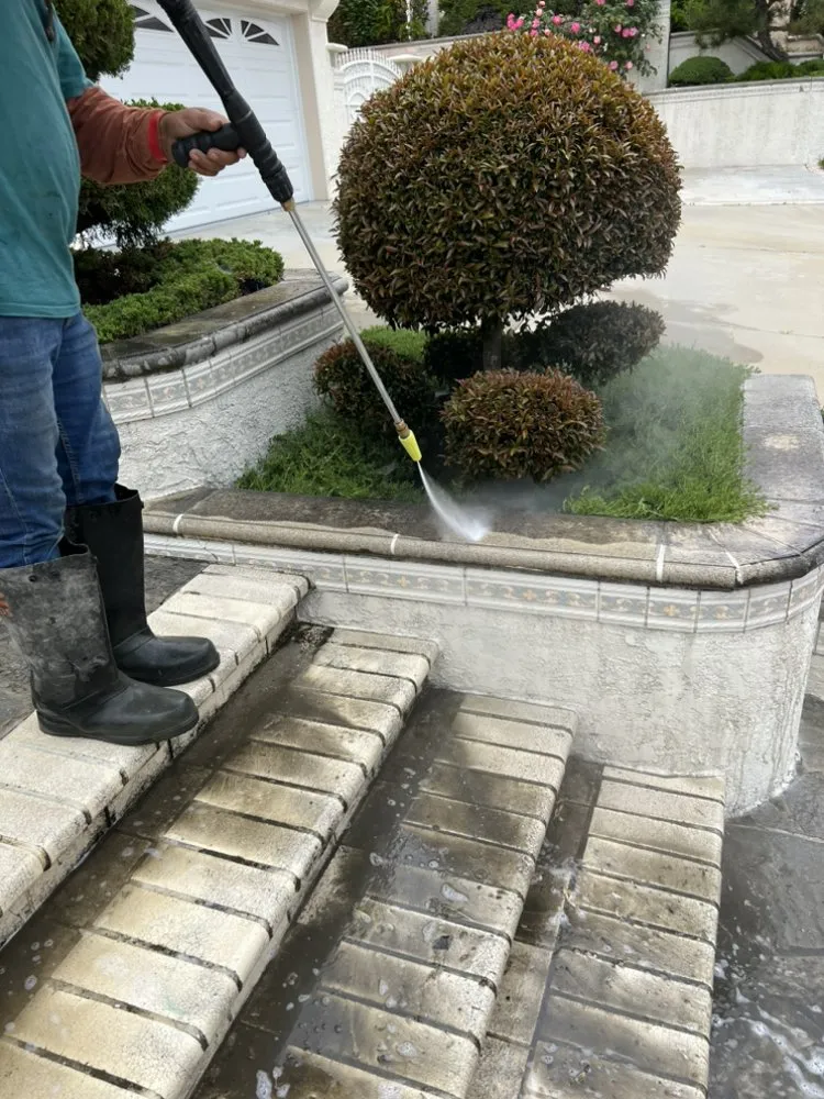 Expert lawn care service in Corona, CA by Pro Landscape