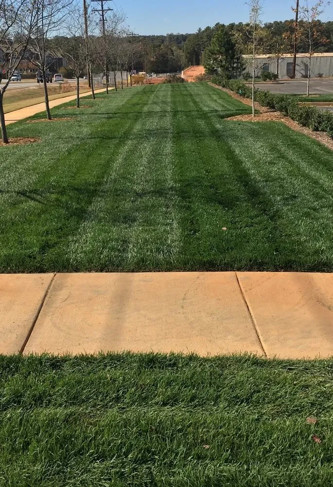 Affordable landscape design in Ladson, SC by Pro Landscape