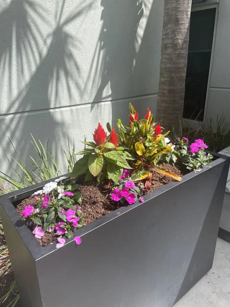 Trusted garden landscaping experts serving Ladson, SC - Pro Landscape