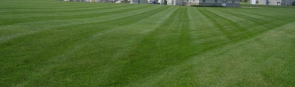 Top-rated yard cleanup service experts serving Waconia, MN - Pro Landscape Maintenance