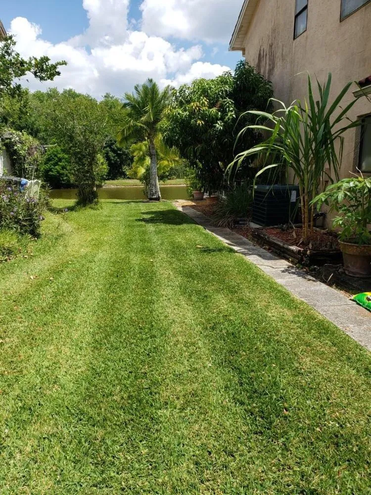 Expert residential landscaping for homes across Tampa, FL - Pro Landscape Services