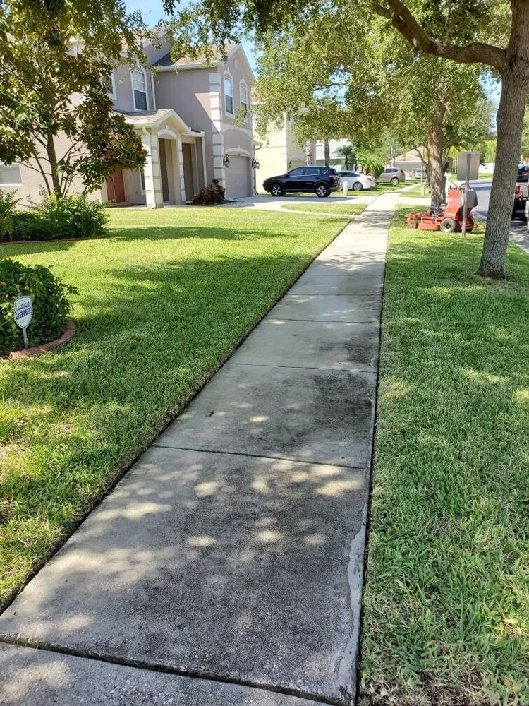 Reliable lawn mowing service experts serving Tampa, FL - Pro Landscape Services