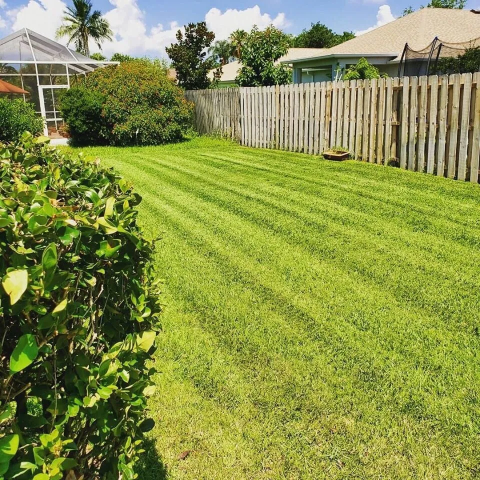 Trusted landscape installation experts serving Tampa, FL - Pro Landscape Services