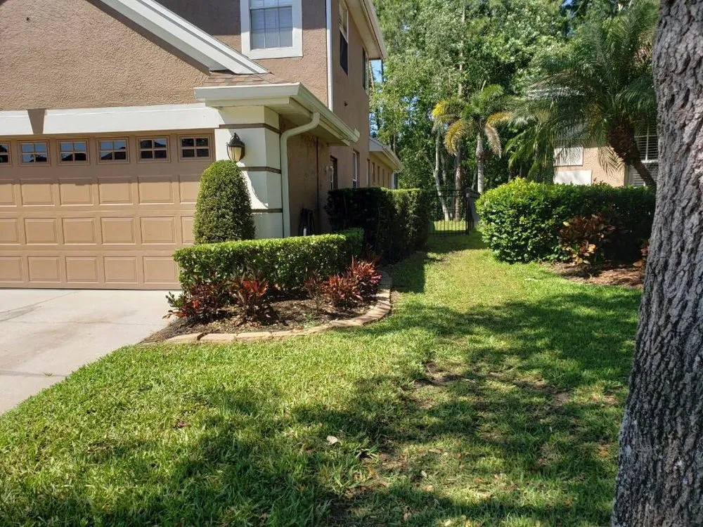 Professional lawn care service experts serving Tampa, FL - Pro Landscape Services