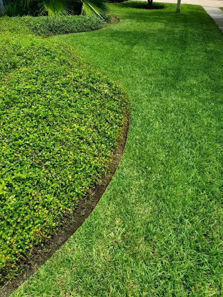 Expert lawn mowing service in Tampa, FL by Pro Landscape Services