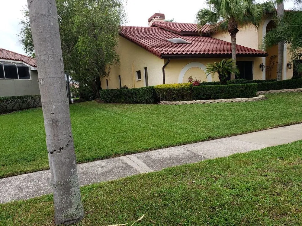 Top-rated garden landscaping in Tampa, FL - Pro Landscape Services