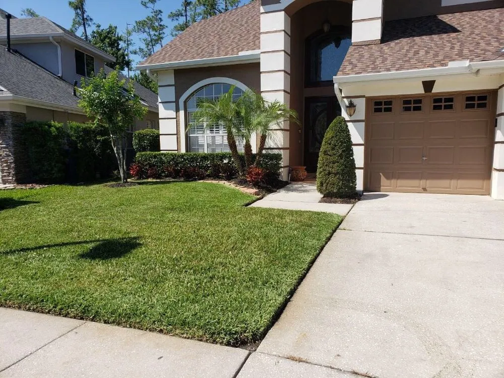 Trusted yard maintenance in Tampa, FL - Pro Landscape Services