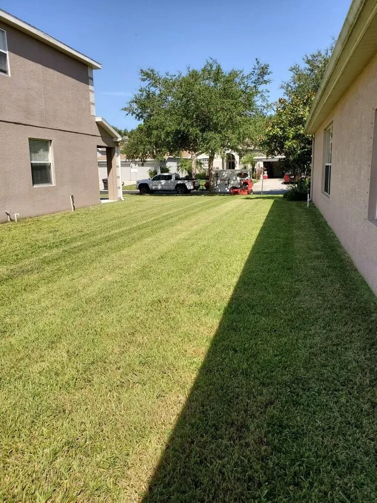 Expert residential landscaping experts serving Tampa, FL - Pro Landscape Services