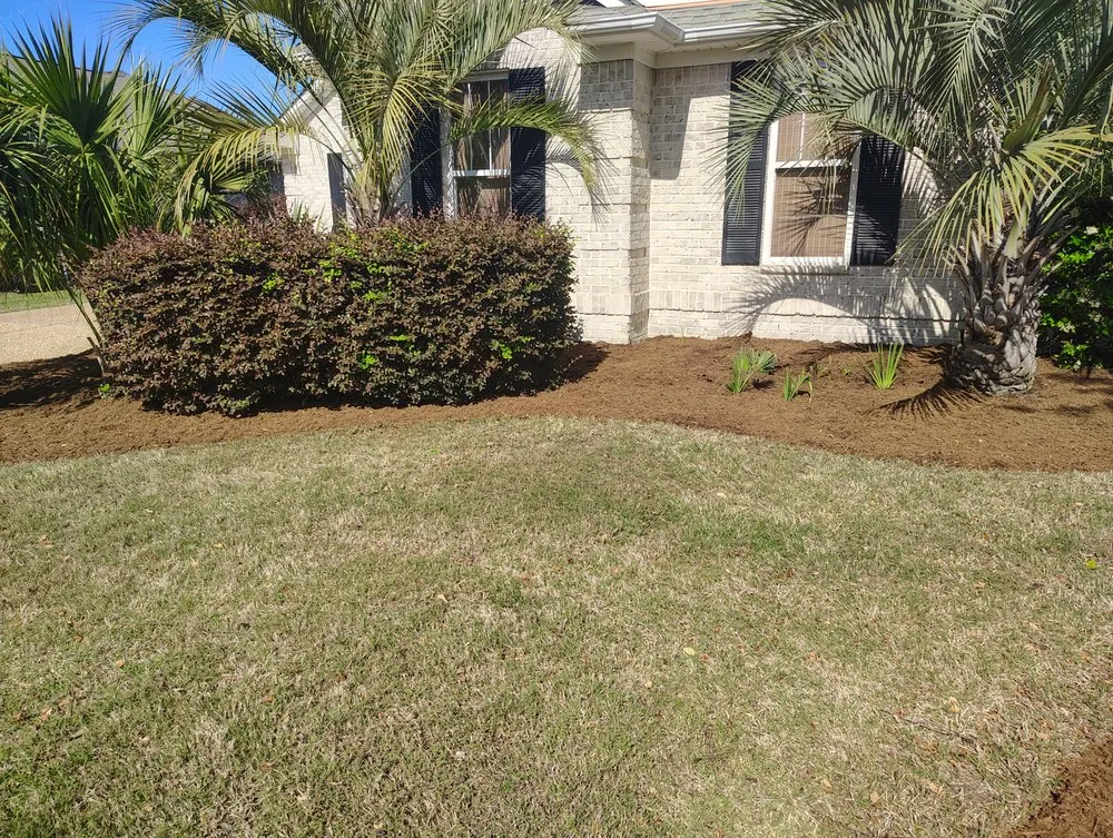 Local yard cleanup service experts serving Riegelwood, NC - Pro Landscape Solutions