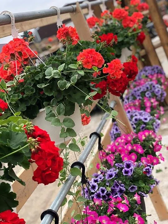 Top-rated lawn care service for homes in Whitewater, WI by Pro Landscape Supply