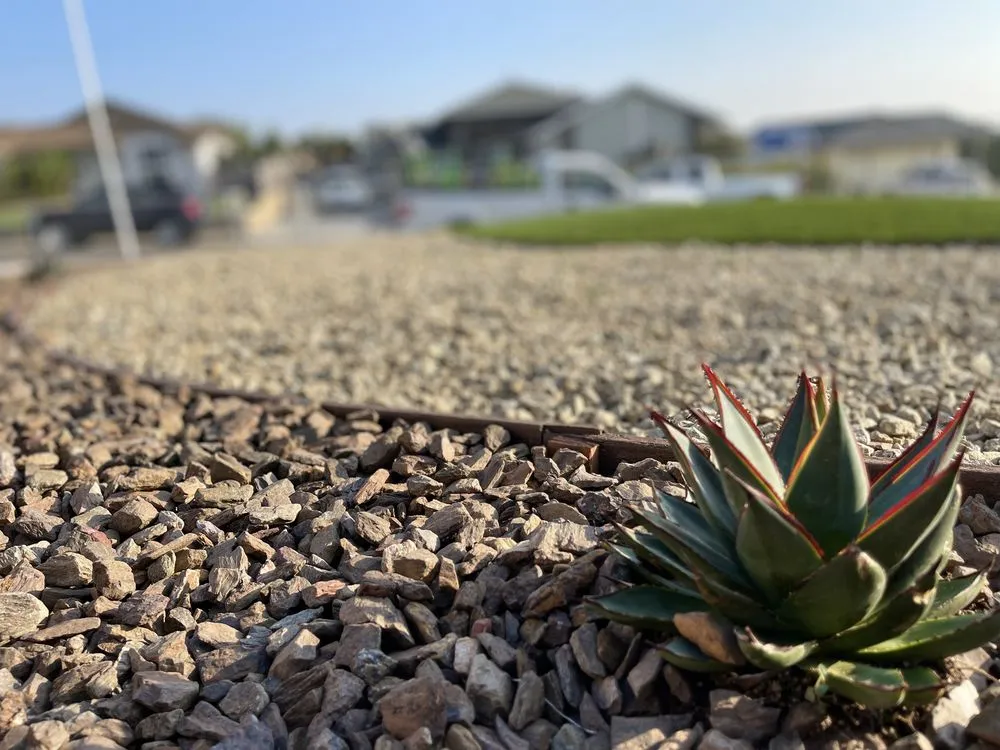 Affordable residential landscaping for beautiful yards across Chula Vista, CA - Pro Landscapes