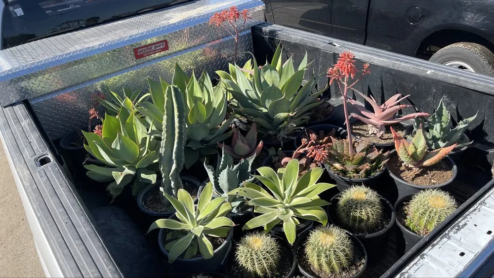 Professional residential landscaping experts serving Chula Vista, CA - Pro Landscapes