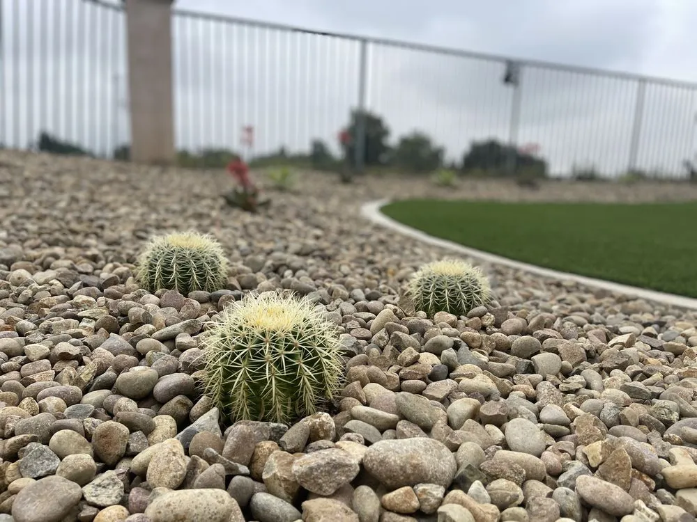 Reliable yard maintenance in Chula Vista, CA by Pro Landscapes