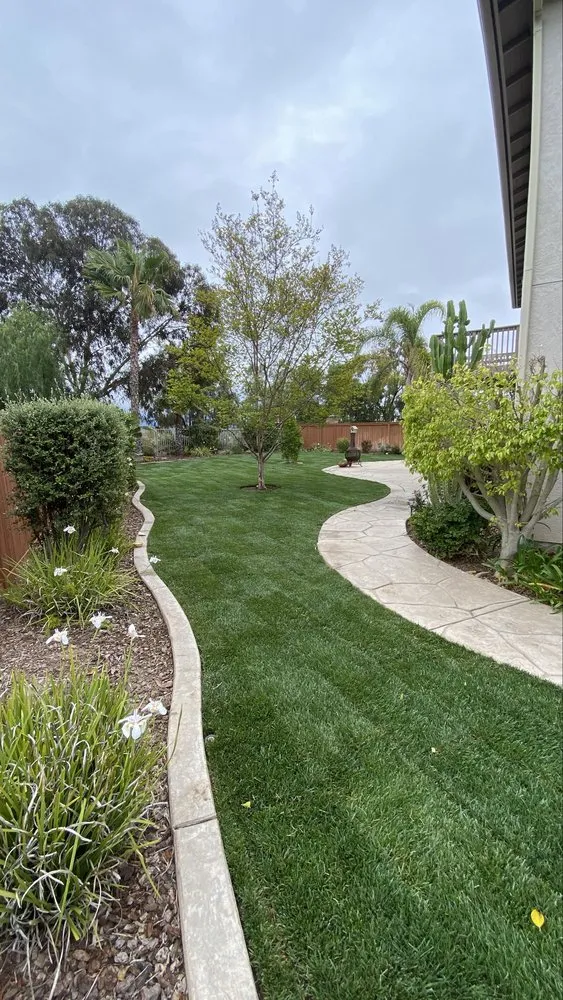 Custom landscape installation experts serving Chula Vista, CA - Pro Landscapes