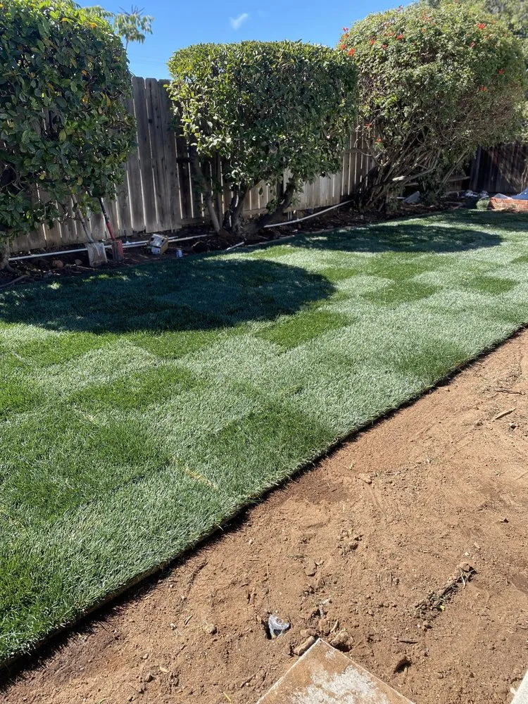 Custom outdoor landscaping for homes across Chula Vista, CA - Pro Landscapes