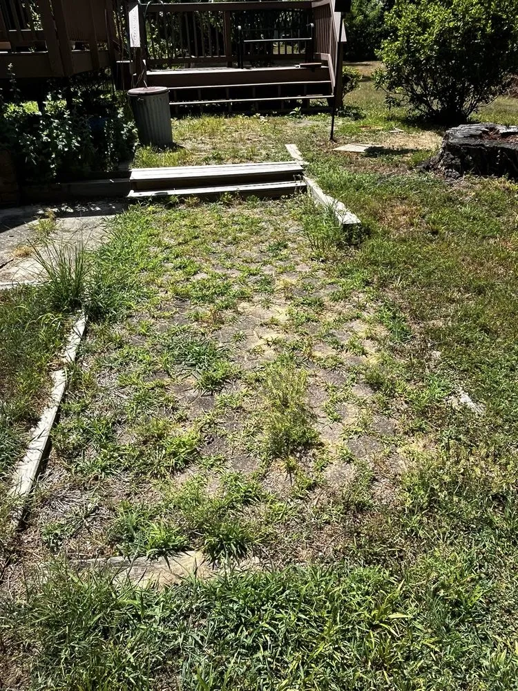 Affordable landscaping services in Dayton, MD - Pro Landscapes