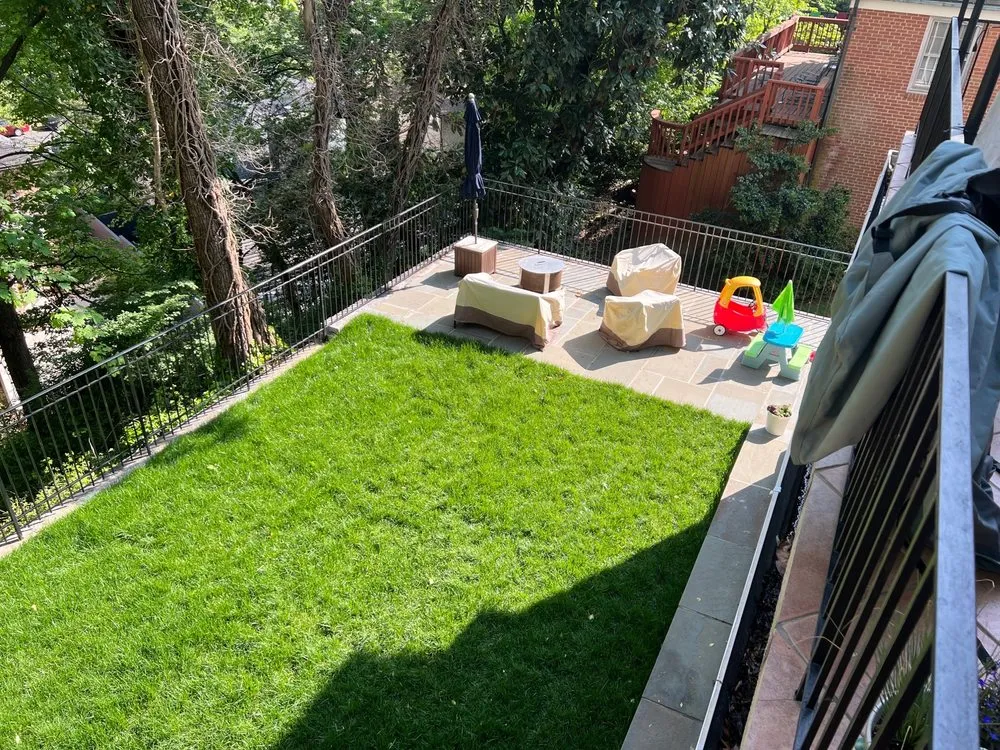 Top-rated yard cleanup service in Dayton, MD - Pro Landscapes