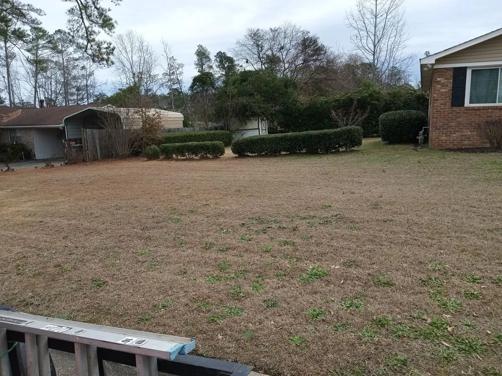 Custom outdoor landscaping for beautiful yards across Thomson, GA - Pro Landscaping and Maintenance