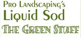 Trusted yard cleanup service in Liberty, MO by Pro Landscaping