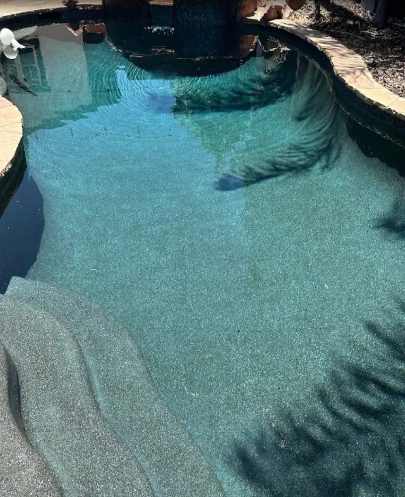 Trusted yard cleanup service experts serving Pasadena, CA - Pro Landscaping Of Pasadena