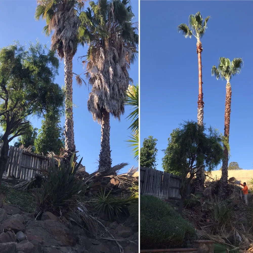 Top-rated residential landscaping in Suisun City, CA by Pro landscaping