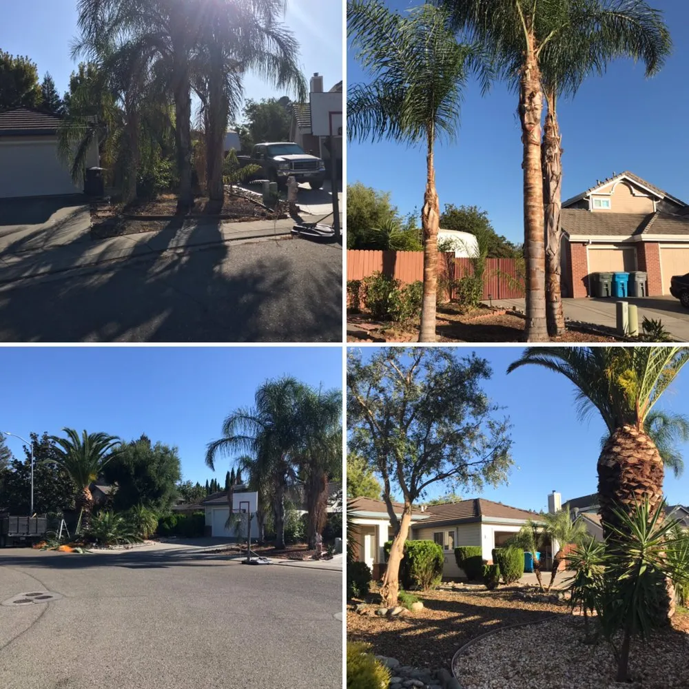 Reliable residential landscaping in Suisun City, CA by Pro landscaping