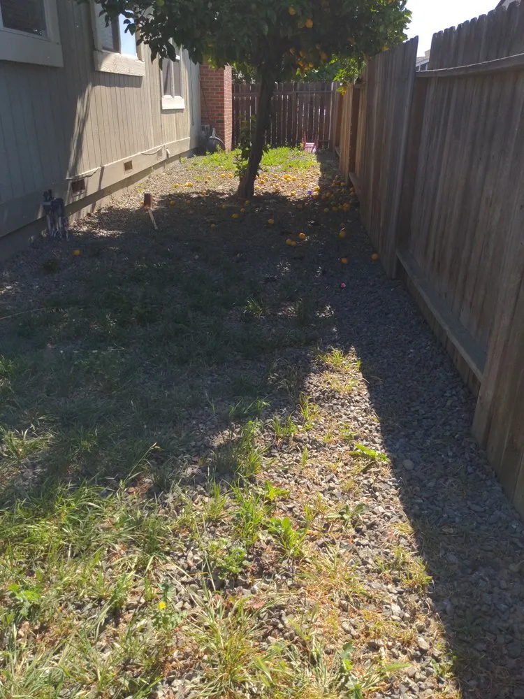 Reliable lawn care service for outdoor upgrades in Suisun City, CA by Pro landscaping