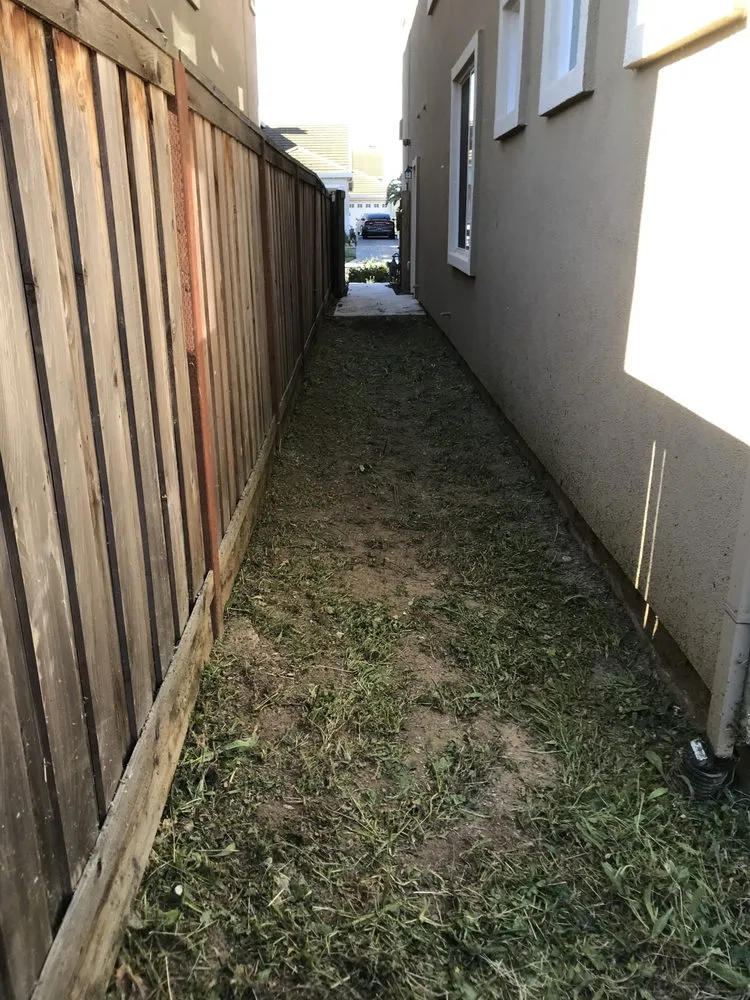 Top-rated landscape design in Suisun City, CA by Pro landscaping