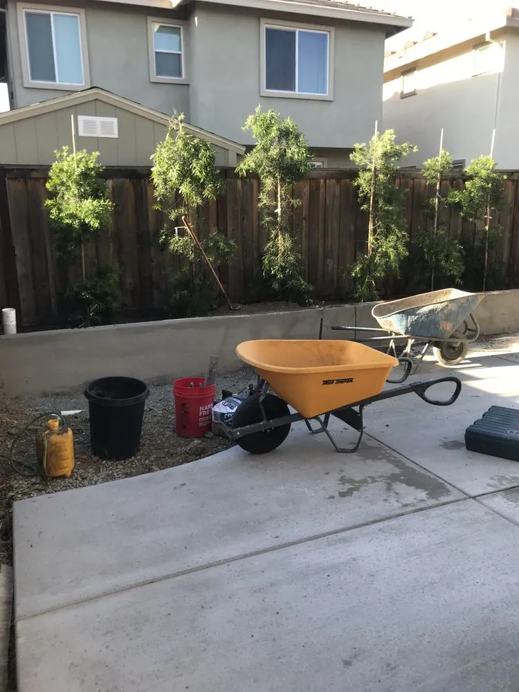 Professional landscaping services with custom design across Suisun City, CA - Pro landscaping