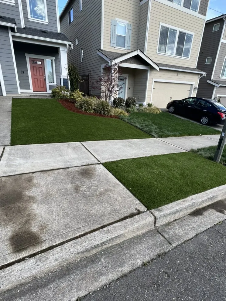 Expert yard cleanup service for residential properties across Tacoma, WA - Pro Landscaping