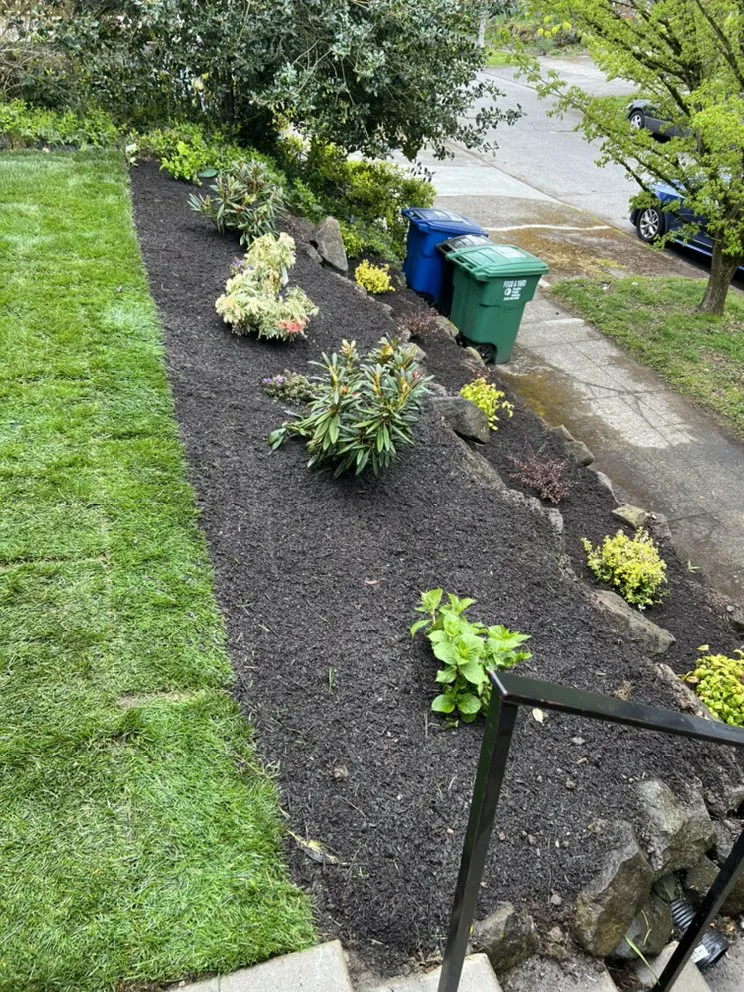 Expert landscape design for residential properties in Tacoma, WA by Pro Landscaping